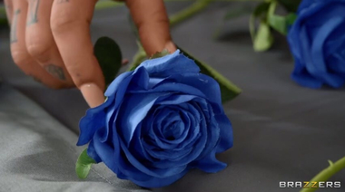 Победительница шоу «‎Холостяк» Тайра Райд получила самую длинную розу